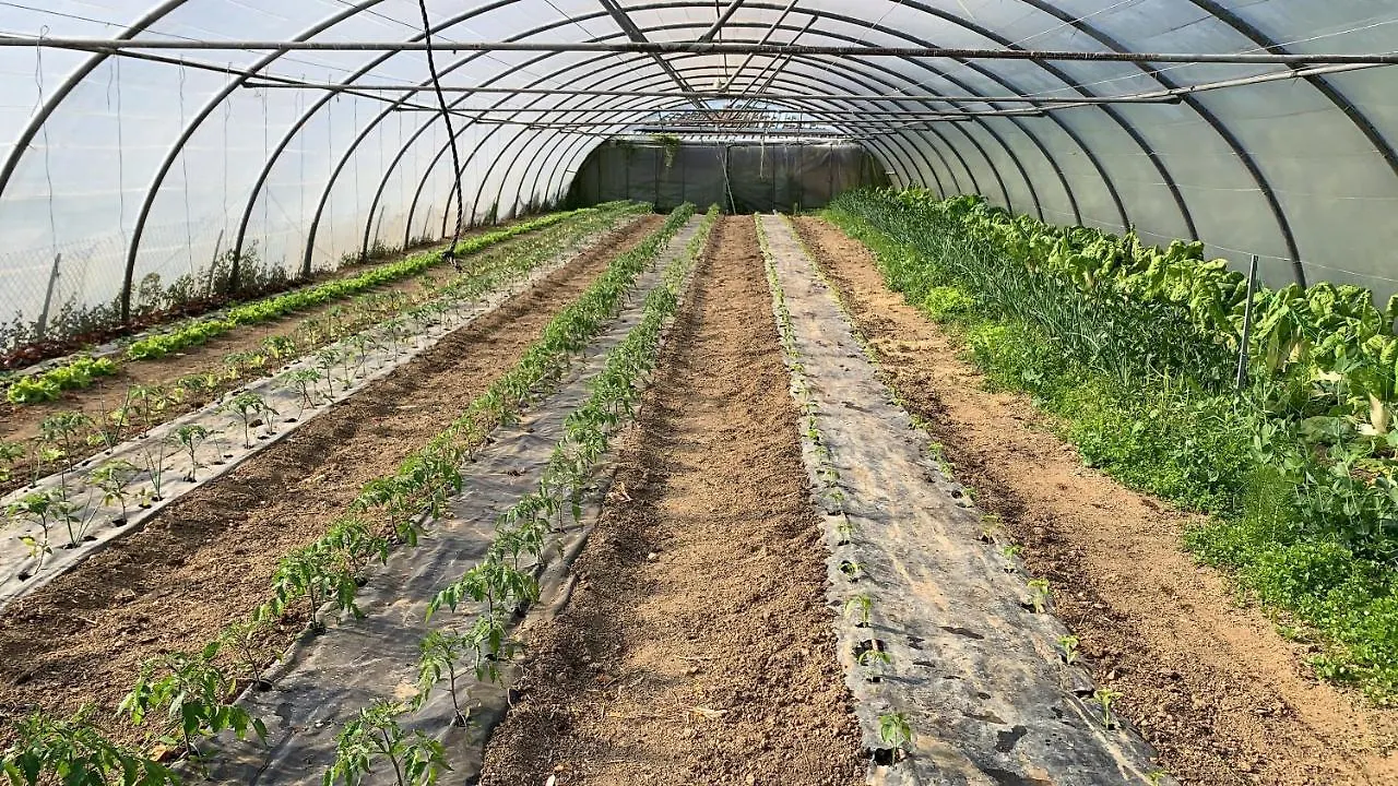 Gautegiz Arteaga Agroturismo Urresti 0*, Gautegiz Arteaga ספרד